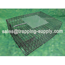 LB-39 Galvanized sparrow Cage Trap